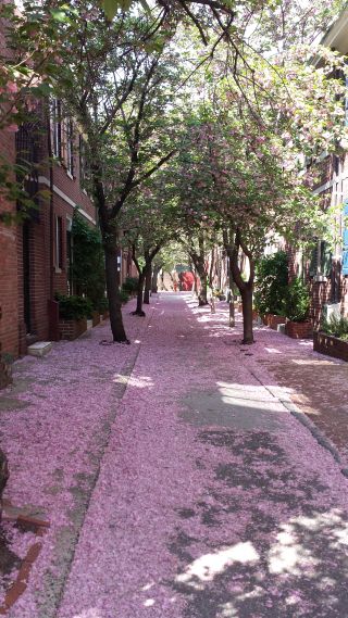 Camac Street, Philadelphia